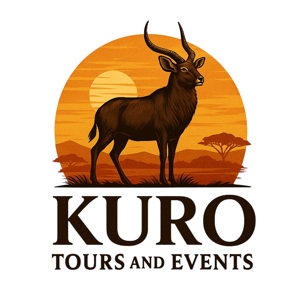 Kuro Tours and Events