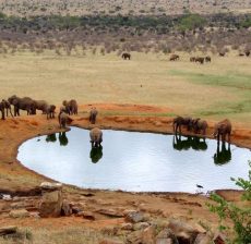 View from Voi Safari Lodge, Tsavo, Kenya