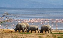 b152a151-37d2-4fca-a4fa-9bb9e7af9b28