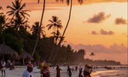 ed947ce5-61e8-4029-8f17-f4edf924ad72